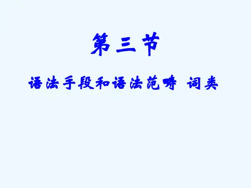 第三节语法手段和语法范畴词类