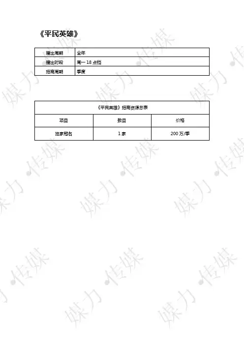 湖南卫视《平民英雄》2020年广告产品框架—媒力·传媒