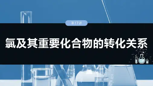【2025人教版化学复习讲义】大单元二 第五章 第17讲 氯及其重要化合物的转化关系