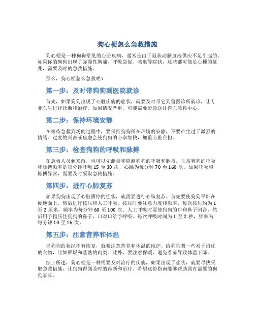 狗心梗怎么急救措施