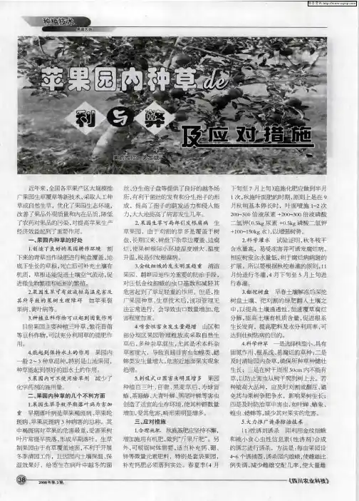 苹果园内种草的利与弊及应对措施