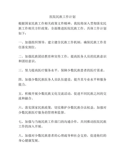 医院民族工作计划