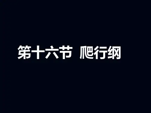 爬行