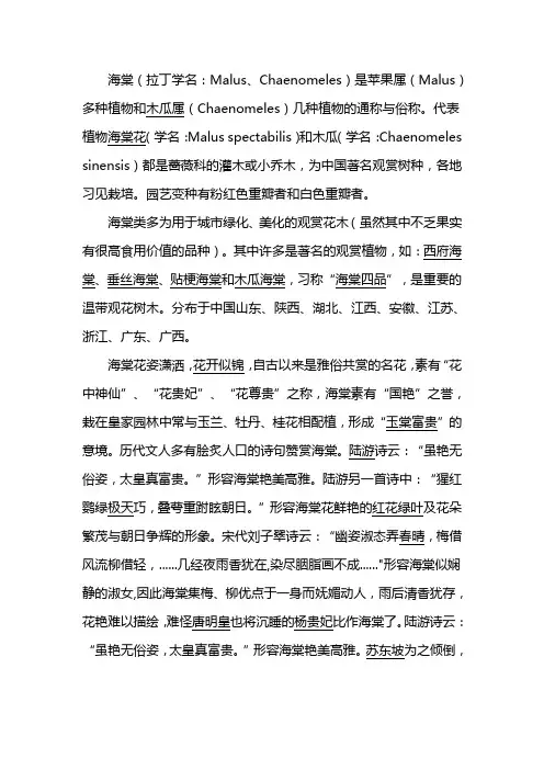 海棠文化