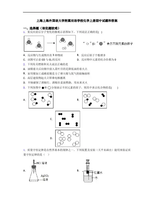 上海上海外国语大学附属双语学校初三化学上册期中试题和答案
