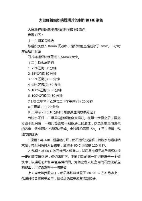 大鼠肝脏组织病理切片的制作和HE染色
