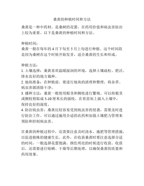 桑黄的种植时间和方法