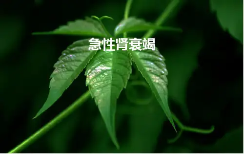 急慢性肾衰竭的诊断、鉴别诊断与治疗