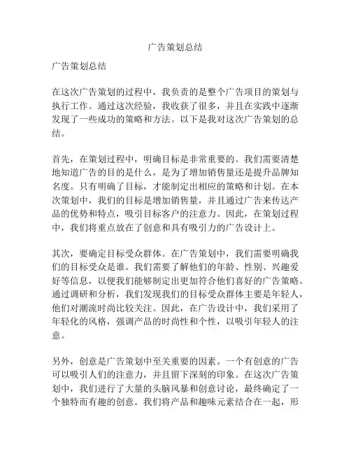 广告策划总结
