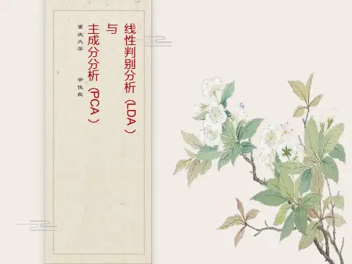 线性判别分析LDA与主成分分析PCA