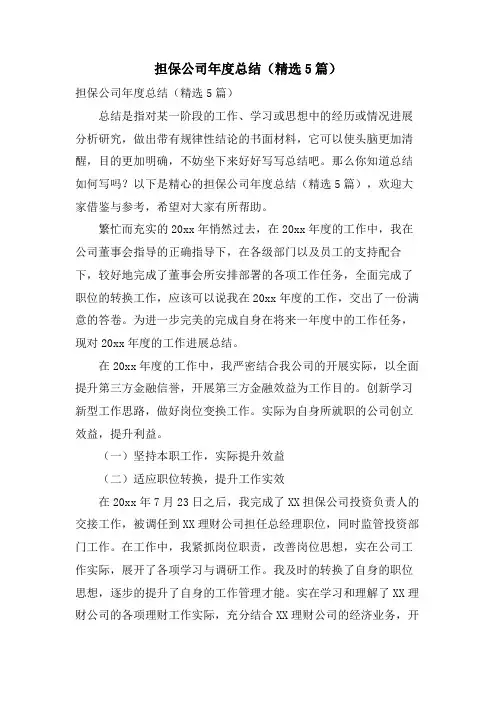 担保公司年度总结(5篇)