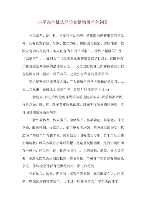 小尾寒羊挑选经验和繁殖母羊的饲养