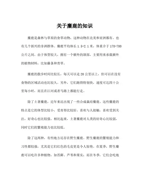 关于麋鹿的知识