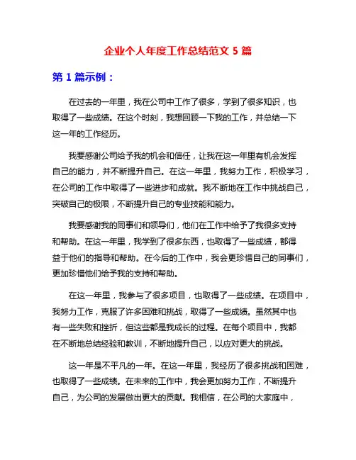 企业个人年度工作总结范文5篇