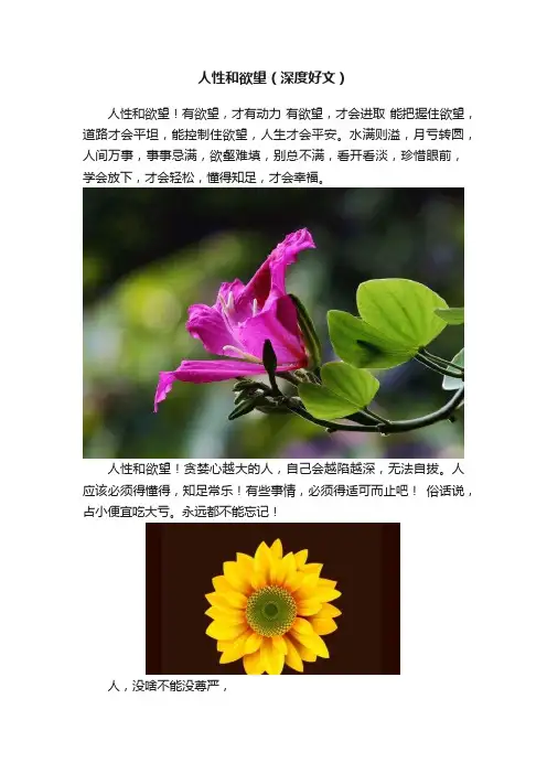 人性和欲望（深度好文）