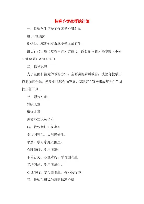 2020年特殊小学生帮扶计划