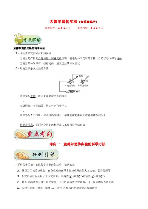 备战2025年高考-生物考点教案讲义：孟德尔遗传实验