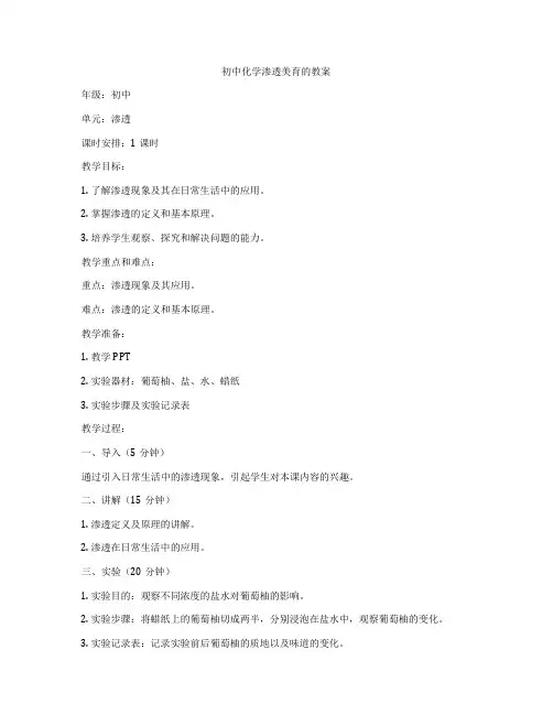 初中化学渗透美育的教案