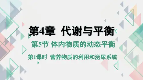体内物质的动态平衡(第1课时PPT课件(初中科学)共31张)
