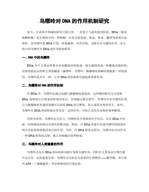 鸟嘌呤对DNA的作用机制研究