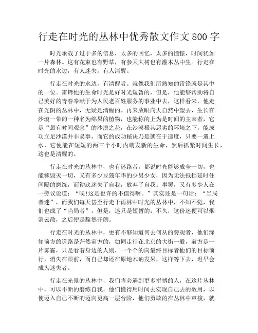 行走在时光的丛林中优秀散文作文800字