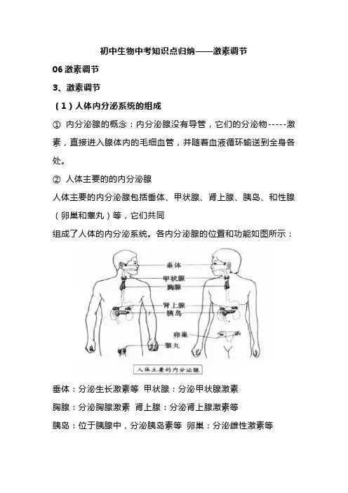 初中生物中考知识点归纳——激素调节