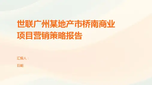 世联广州某地产市桥南商业项目营销策略报告