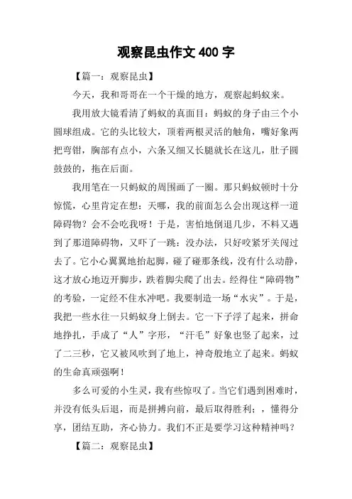 观察昆虫作文400字