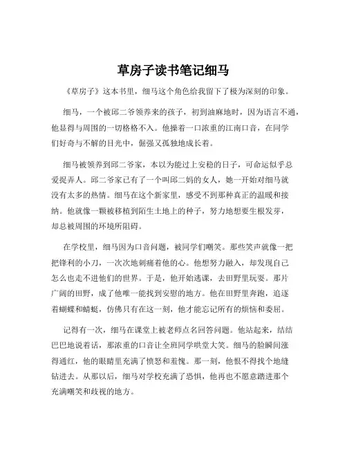 草房子读书笔记细马
