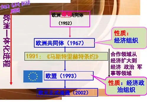 经济区域集团化及财务知识分析