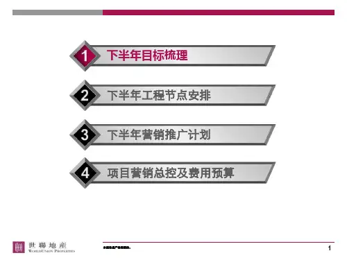 别墅项目营销方案(PPT48张)
