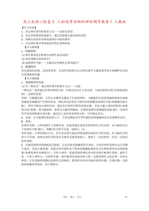 高三生物二轮复习 人和高等动物的神经调节教案1 人教版