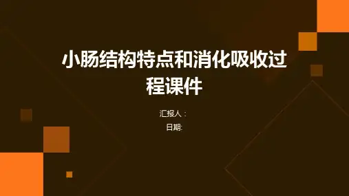 小肠结构特点和消化吸收过程课件