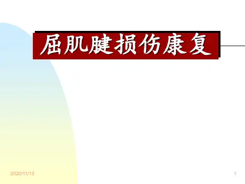 屈肌腱损伤康复 ppt课件