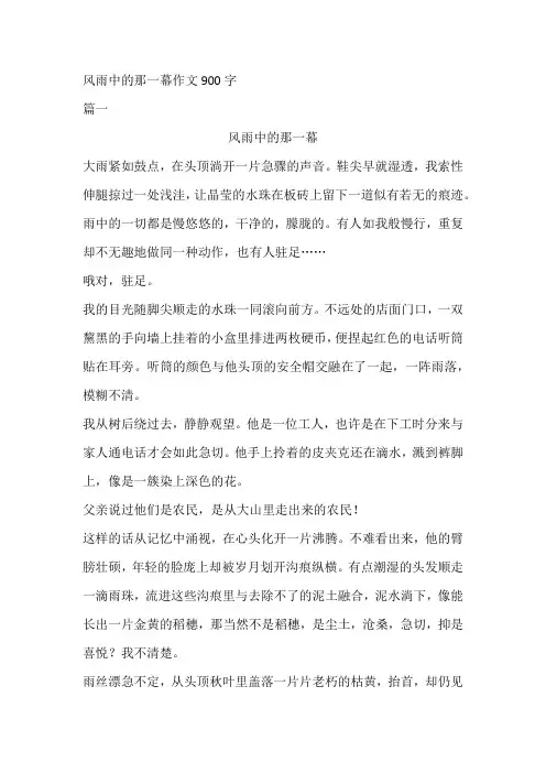风雨中的那一幕作文900字