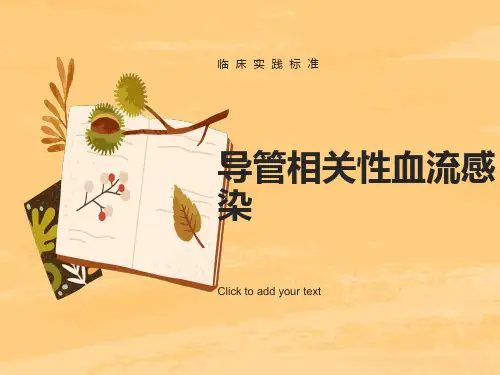 导管相关性血流感染
