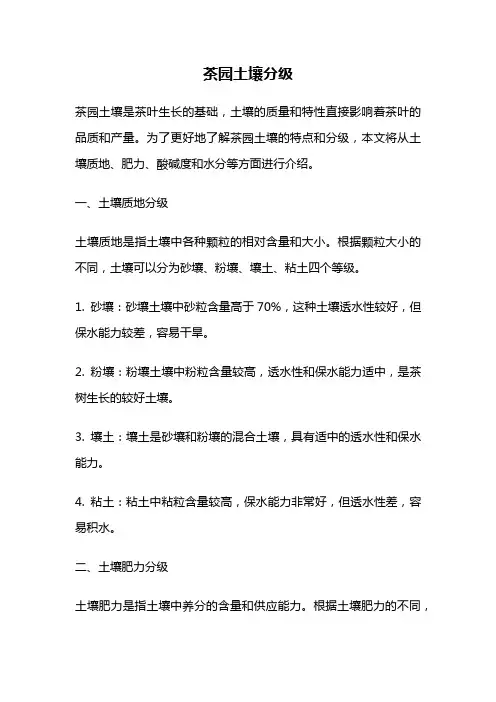 茶园土壤分级