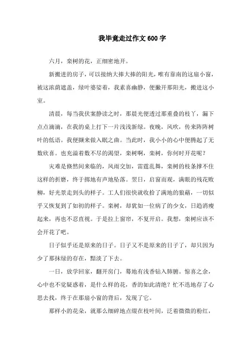 我毕竟走过作文600字精选
