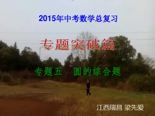 2015年中考数学总复习专题5 圆的综合题综述