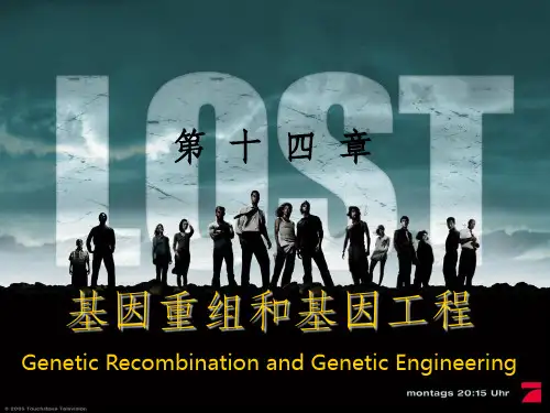 【学习课件】第十四章基因重组和基因工程