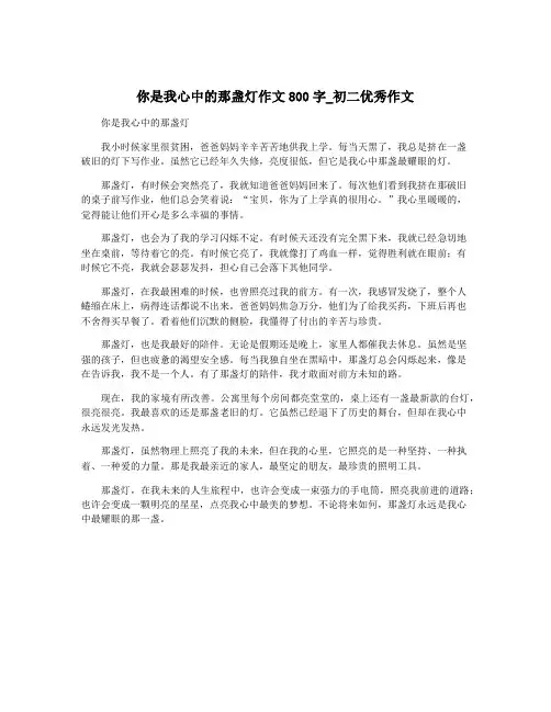 你是我心中的那盏灯作文800字_初二优秀作文