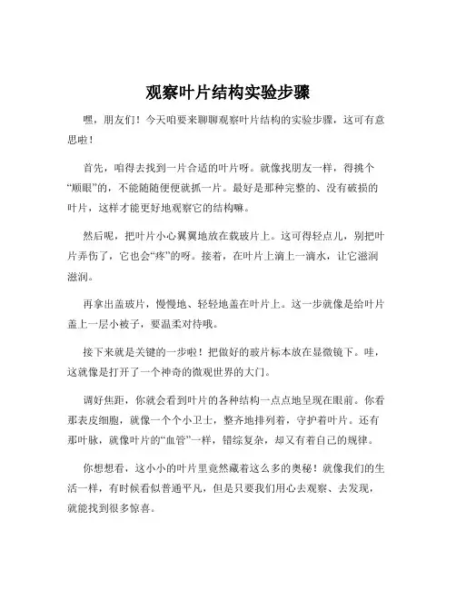 观察叶片结构实验步骤