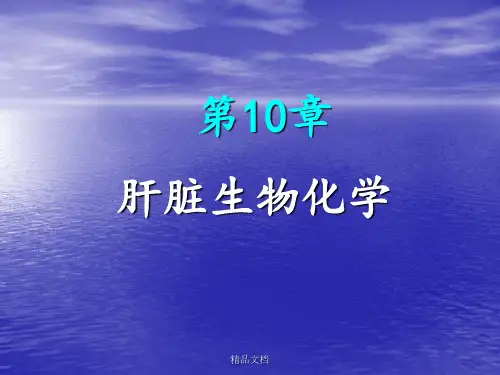 《肝脏生化》PPT课件