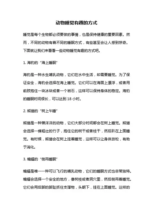 动物睡觉有趣的方式