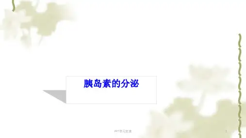 胰岛素的分泌ppt课件