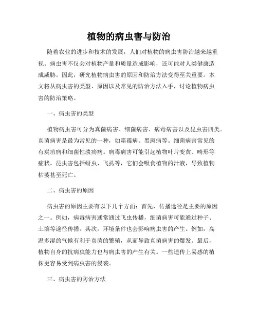 植物的病虫害与防治