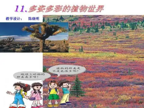 11.多姿多彩的植物世界