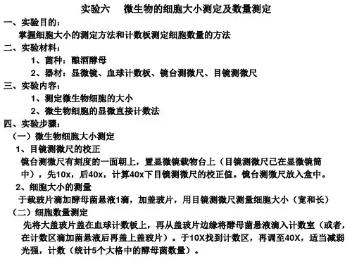 6细胞大小测定及数量测定