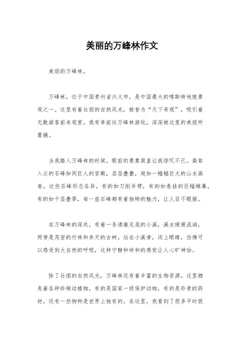 美丽的万峰林作文