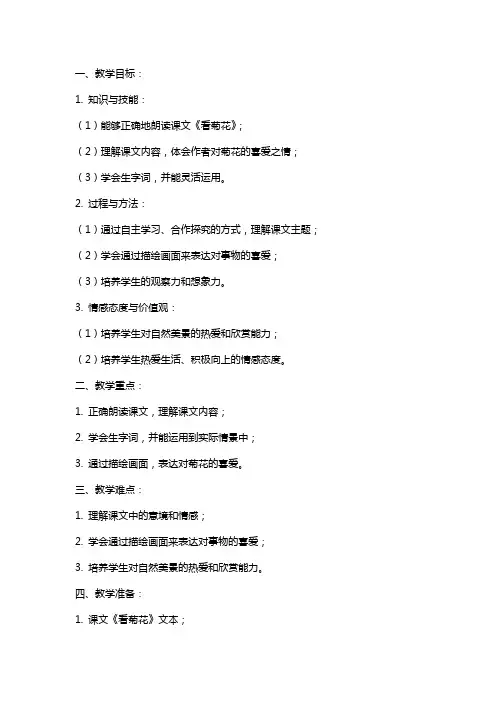课文《看菊花》教案